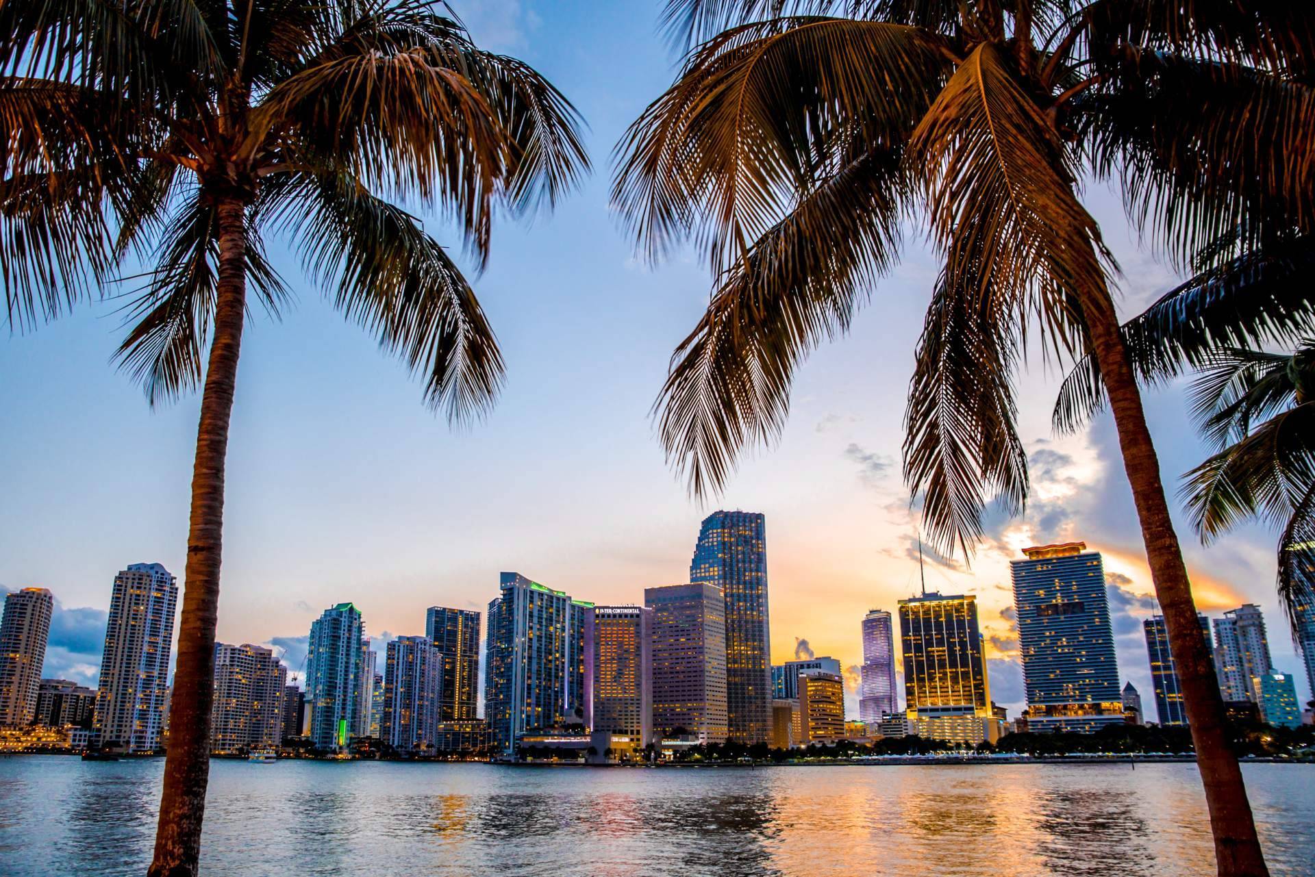 Amplia variedad de apartamentos en preconstrucción en Miami, con la inmobiliaria UTG Miami